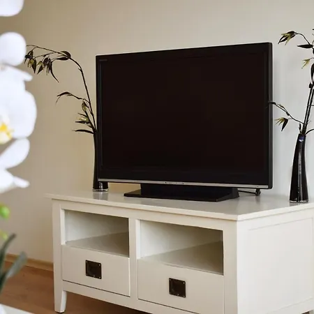 Flores Park Słoneczny Brzeg